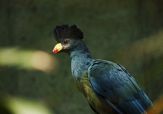 Sedgwick County Zoo; Wichita, KS