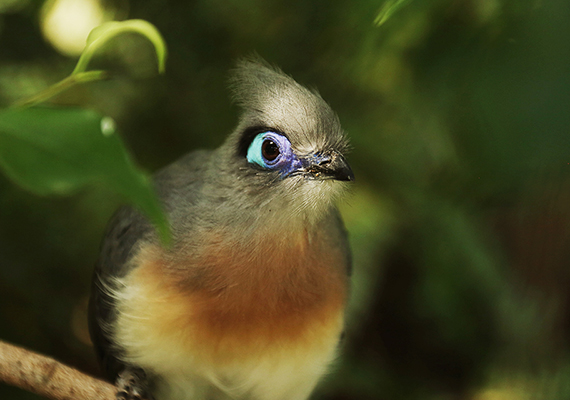 Sedgwick County Zoo; Wichita, KS