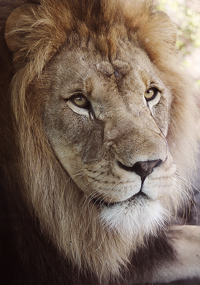 Sedgwick County Zoo; Wichita, KS