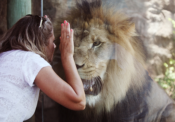 Sedgwick County Zoo; Wichita, KS