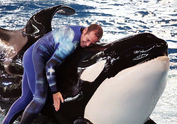 Tuar and his trainer at SeaWorld San Antonio, Texas